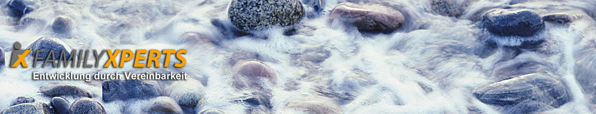 Headerbild Steine im Wasser und Logo von FamilyXperts, dem Familienservice in Berlin, der für Vereinbarkeit von Beruf und Familie, Work Life Balance, Beruf Familie, Kinderbetreuung und das audit berufundfamilie steht
