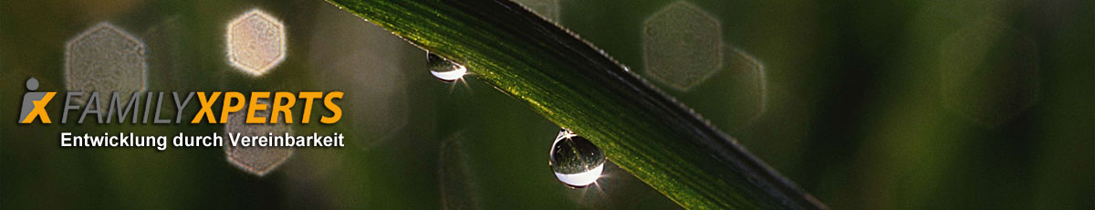 Headerbild Tropfen und Logo von FamilyXperts, dem Familienservice in Berlin, der für Vereinbarkeit von Beruf und Familie, Work Life Balance, Beruf Familie, Kinderbetreuung und das audit berufundfamilie steht