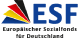 Logo Europäischer Sozialfonds für Deutschland